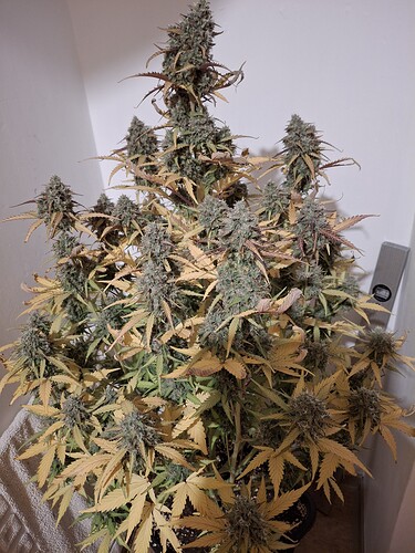 Growreport Bild 9