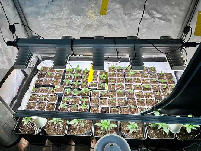 Growreport Bild 6