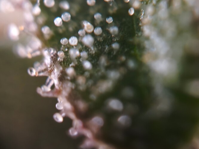 MVIMG_20251121_194653