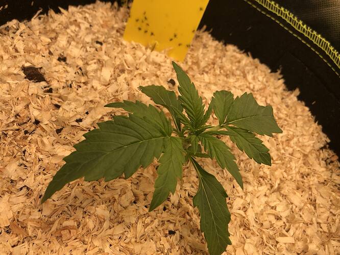 Growreport Bild 1