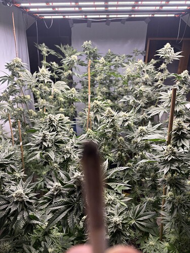 Growreport Bild 47