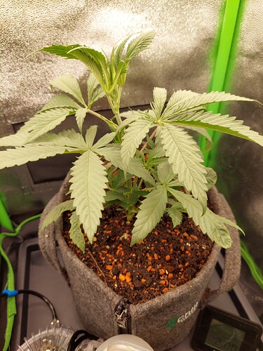 Growreport Bild 11