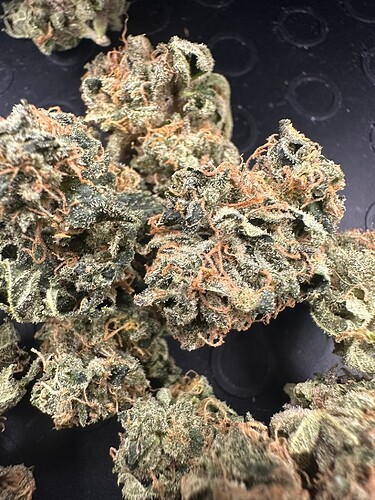 Growreport Bild 9