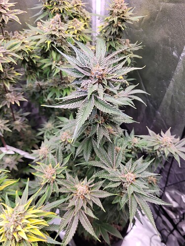 Growreport Bild 16