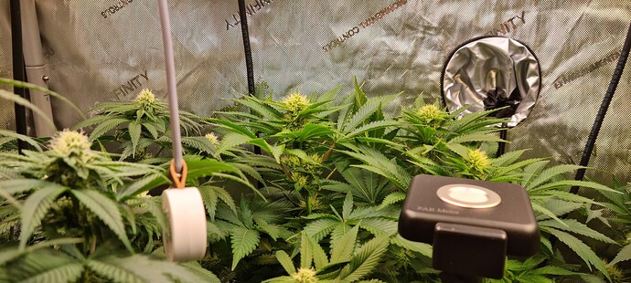 Growreport Bild 23