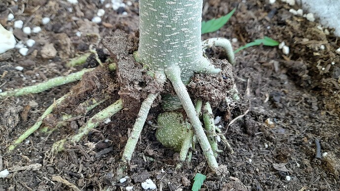 Growreport Bild 2