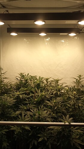 Growreport Bild 15