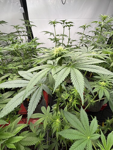 Growreport Bild 10