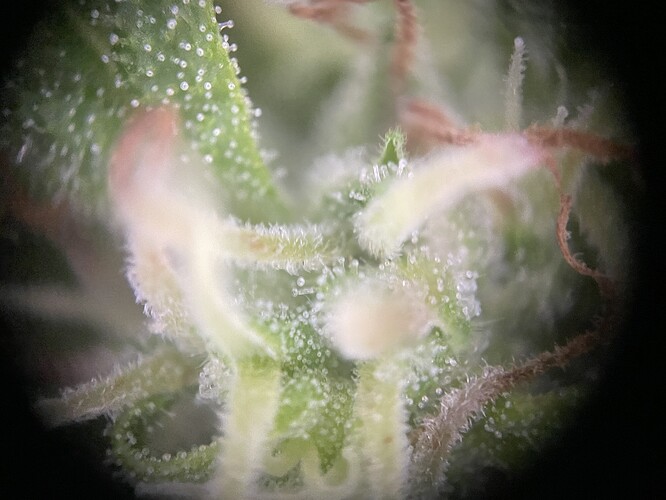 Growreport Bild 4
