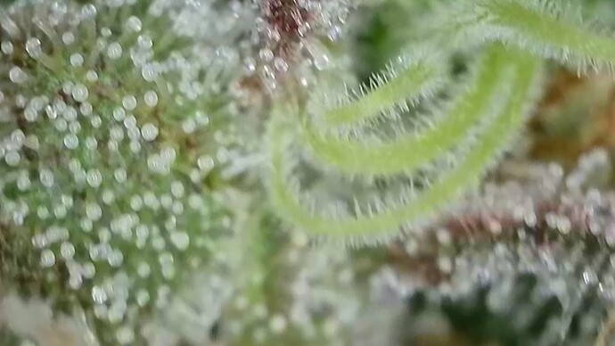 Growreport Bild 10