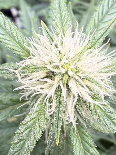 Growreport Bild 10