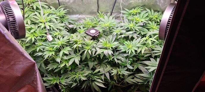 Growreport Bild 15