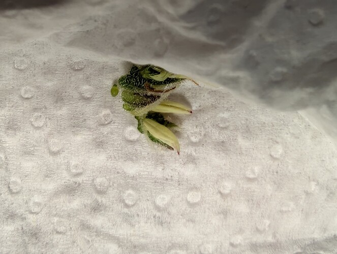 Growreport Bild 21