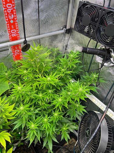 Growreport Bild 3