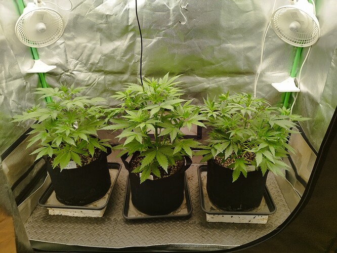Growreport Bild 2