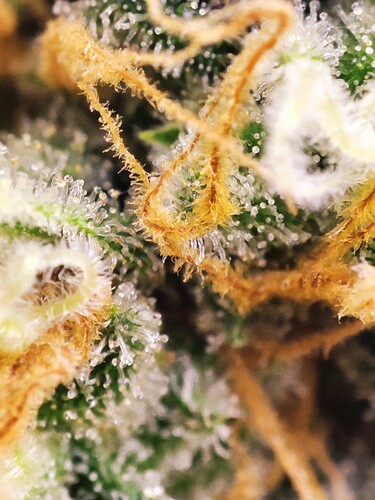 Growreport Bild 18