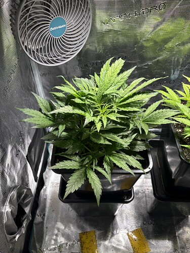Growreport Bild 12