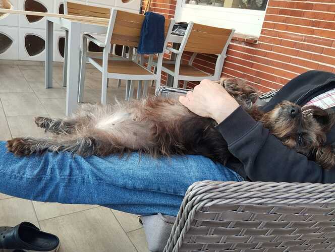 WhatsApp Bild 2025-04-28 um 08.39.06_2f6c5673