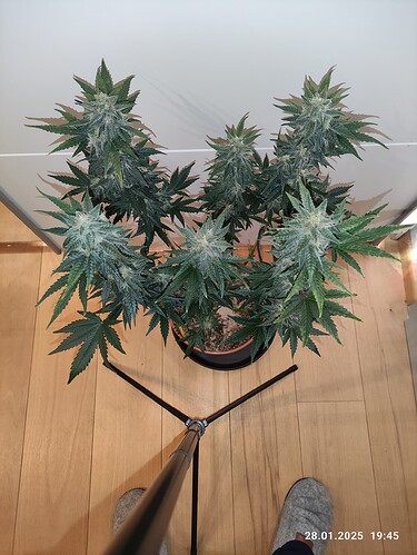 Growreport Bild 17