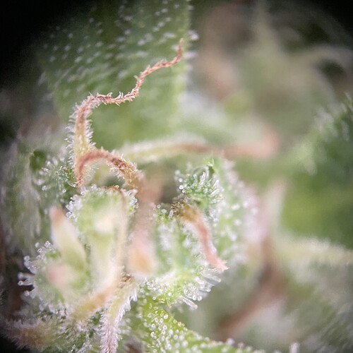 Growreport Bild 17
