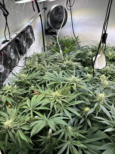 Growreport Bild 33