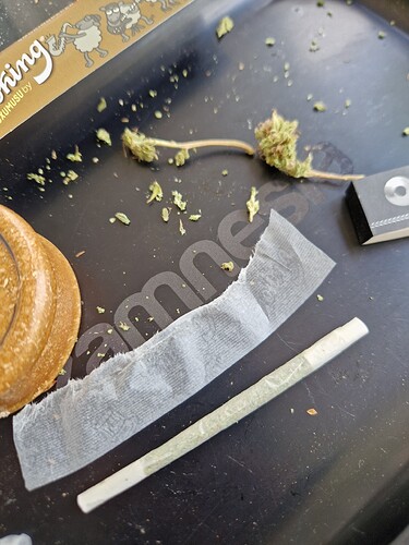Growreport Bild 21