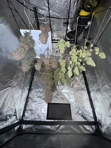 Growreport Bild 2