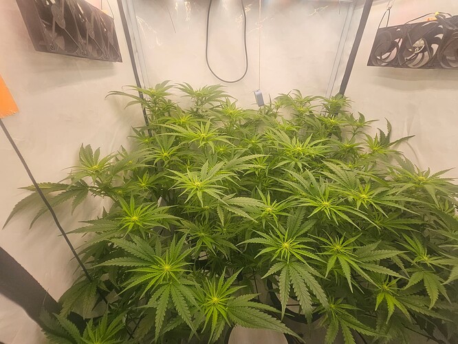 Growreport Bild 1