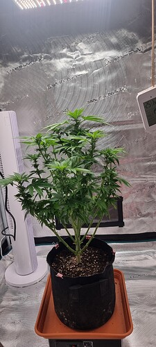 Growreport Bild 2