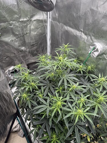 Growreport Bild 12