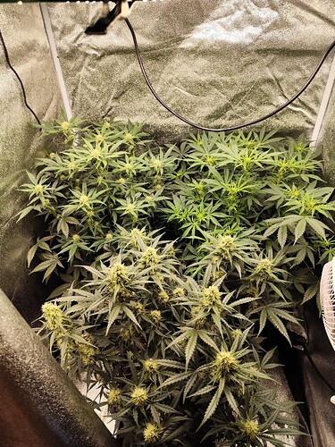 Growreport Bild 6