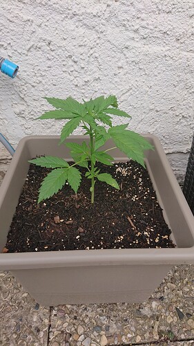 Growreport Bild 14