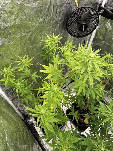 Growreport Bild 8