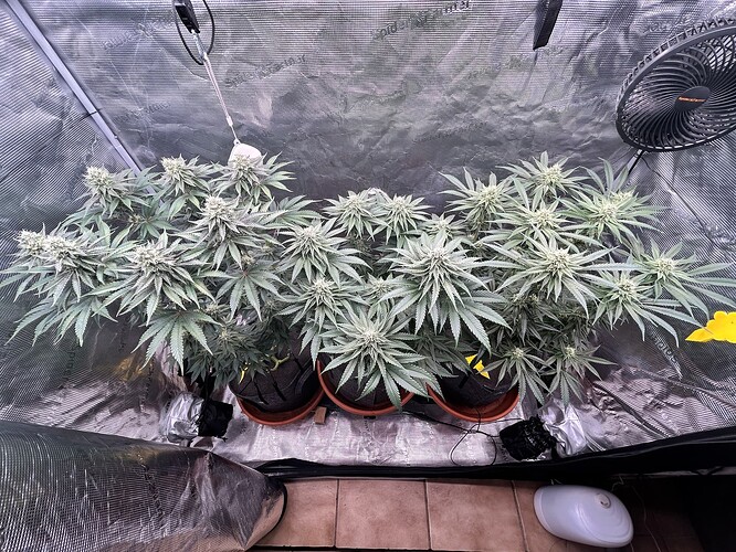 Growreport Bild 13
