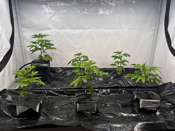 Growreport Bild 26