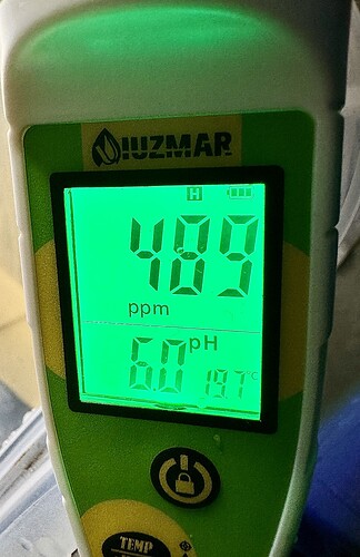 Growreport Bild 2