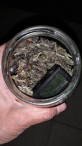Growreport Bild 3
