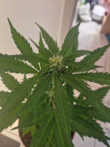 WhatsApp Image 2024-05-18 at 09.21.16 (1)