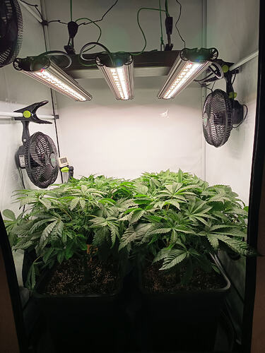 Growreport Bild 17