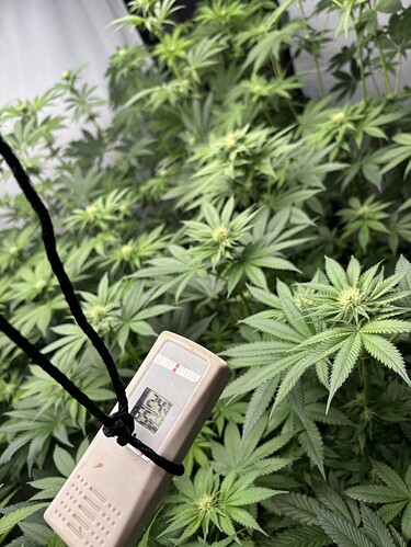 Growreport Bild 26