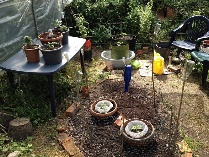 Growreport Bild 58
