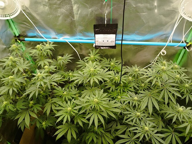 Growreport Bild 11