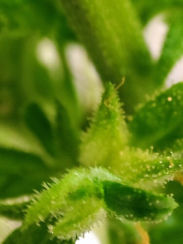 Growreport Bild 2