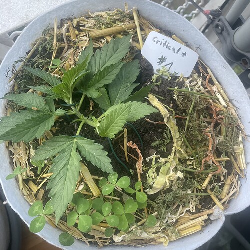 Growreport Bild 2