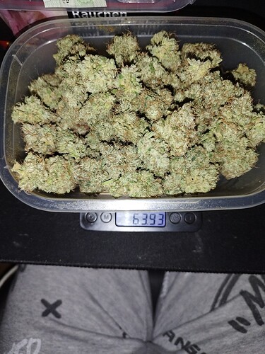 Ein Behälter voller Cannabis-Buds liegt auf einer digitalen Waage, die 63,93 Gramm anzeigt.
