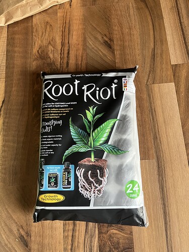 Growreport Bild 16