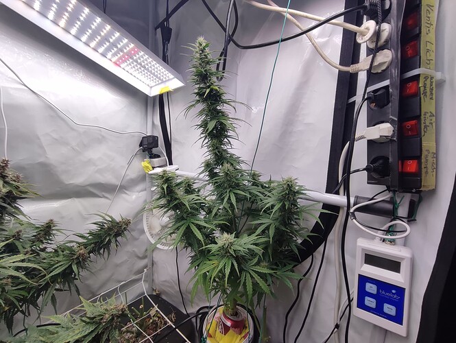 Growreport Bild 8
