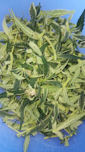 Growreport Bild 6