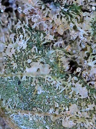 2026-04-04-13-02-28-026