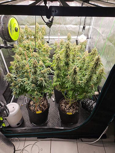 Growreport Bild 7